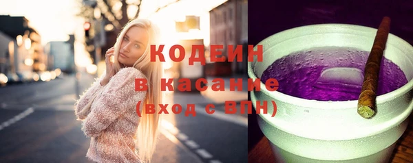 ПСИЛОЦИБИНОВЫЕ ГРИБЫ Арсеньев