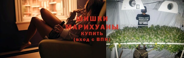 ПСИЛОЦИБИНОВЫЕ ГРИБЫ Арсеньев