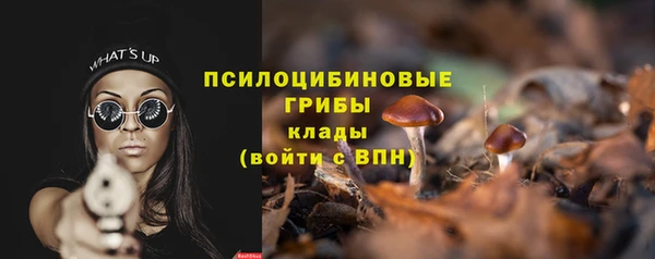 спиды Аркадак