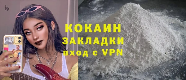 ПСИЛОЦИБИНОВЫЕ ГРИБЫ Арсеньев