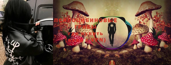 ПСИЛОЦИБИНОВЫЕ ГРИБЫ Арсеньев