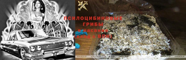 трава Армянск