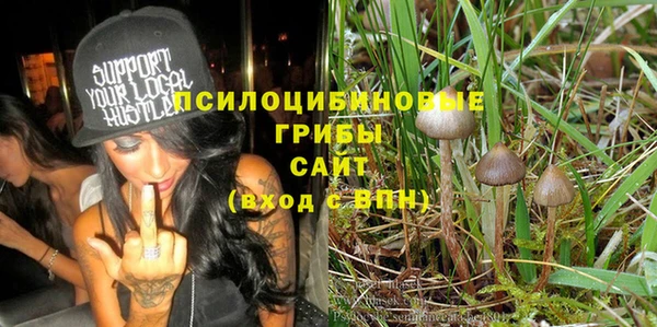 спиды Аркадак